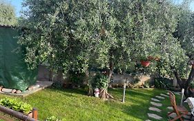 Casa Vacanze Collina Del Lago